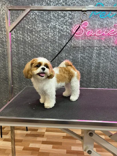 Pet Society - Pet Grooming Spa | Pet Store