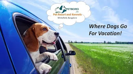 Petboro Pet Resort And Kennels