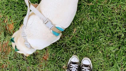 Shivani Kuthe's Canine Training