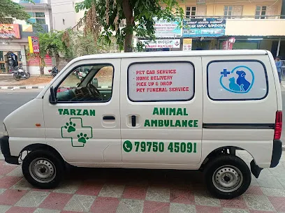 Tarzan Animal Ambulance