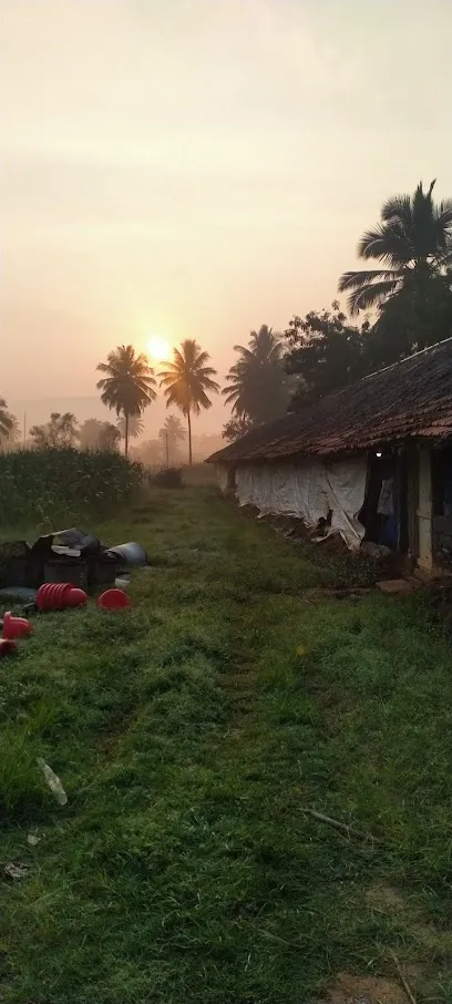 Thanmayee Organic Kadaknath Poultry Farm