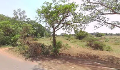 Bhadrak Wild Life Authority