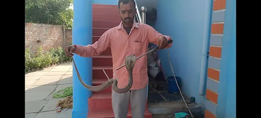 Snake Catcher Bhilai Durg