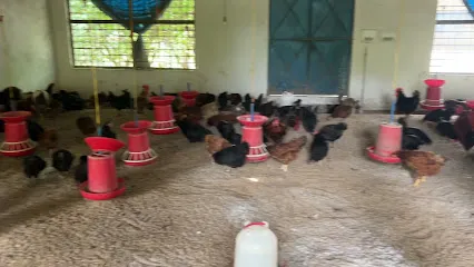 Government Poultry Farm