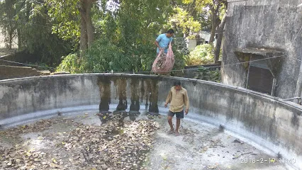 Patra Fish Seed Farm