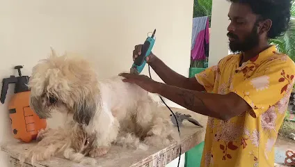 Dj Power Pet Boarding And Grooming