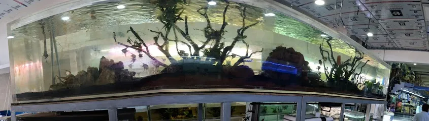 Indian Ocean Aquarium