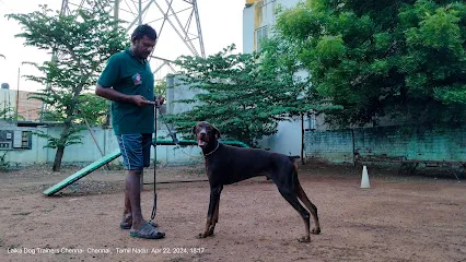 Laika Dog Trainers In Chennai