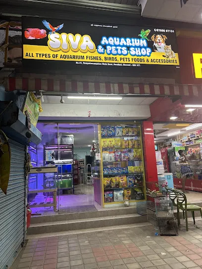 Siva Aquarium & Pets Shop