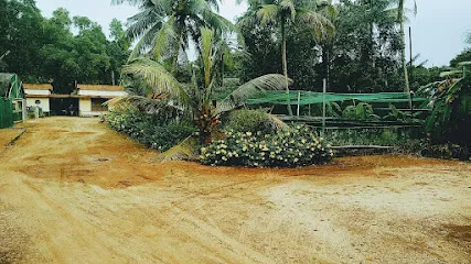 Natures Way Fish Hatchery (Kerala Govt. Approved)