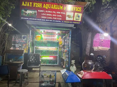 Ajay Fish Aquarium & Service