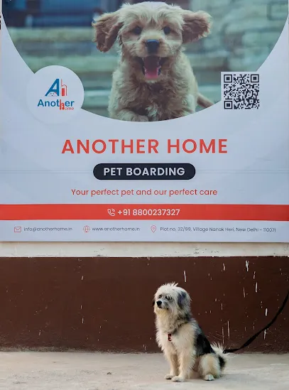 Another Home - Pet Boarding In Delhi Ncr | Dog Day Care