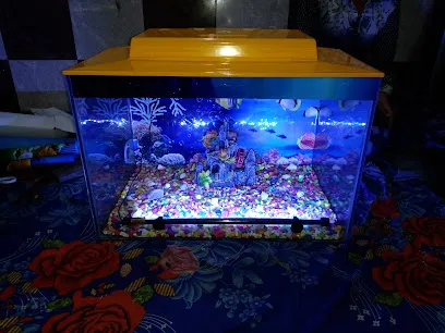 Aqualife Fish And Aquarium