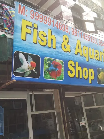 Aquasovi Fish Aquarium Shop