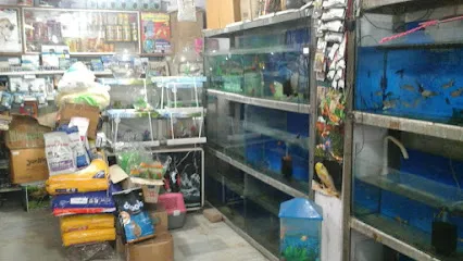 Asian Fish Aquarium