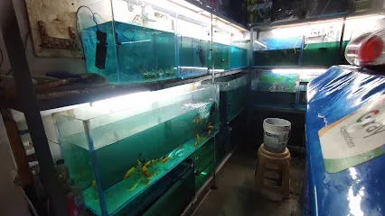 C.P Fish Aquarium World