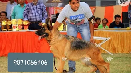 Dog Trainer Mr.Mukesh Kumar