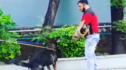 Dog Trainer Mr.Rakesh