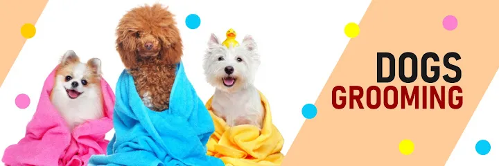 Dogs Paradise Grooming - Pet Grooming Service South Delhi