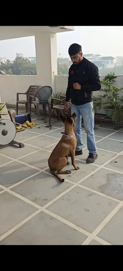 Dogslover - Dog Trainer Tanuj Ji