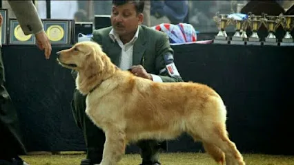 Fal Singh Dog Professional Training Academy