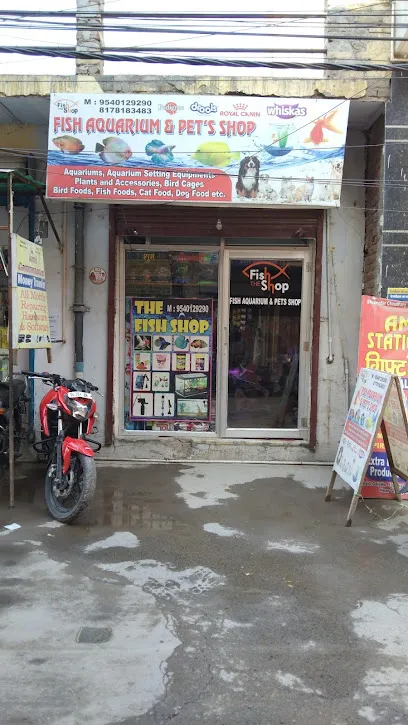 Fish Aquarium Shop