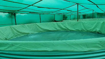 Freshco Biofloc Fish Farm