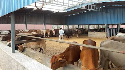 Gaushala Gau Sewa Trust