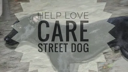 Help Love Care Street Dog