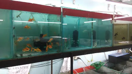 Laxmi Fish Aquarium Shop