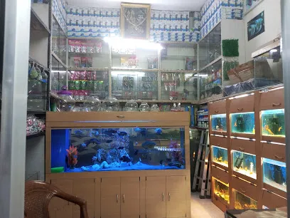 Lokesh Fish Aquarium