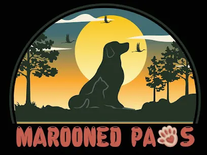 Marooned Paws