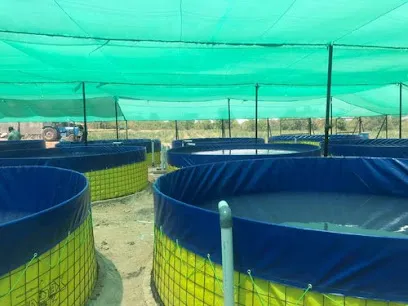 Nagodas Fish Farming And Consultancy Pvt Ltd