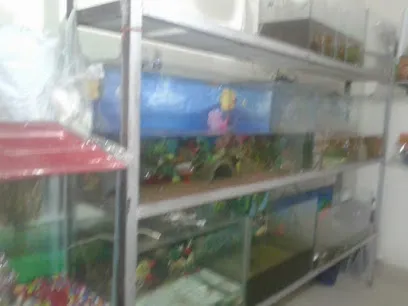 Neha Fish Aquarium & Pets