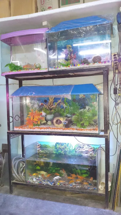 R.K Fish Aquarium