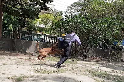 Raj Kaushik Dog Trainer