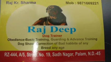 Rajdeep Dog Trainer