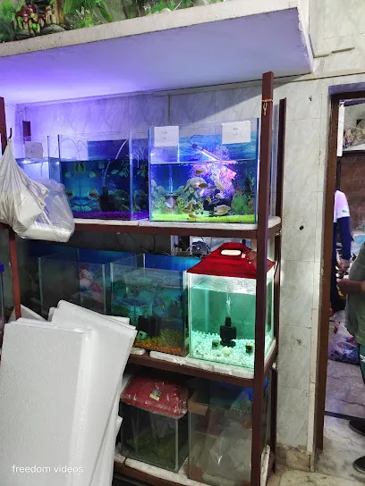 South Indian Aquarium Fish Shop