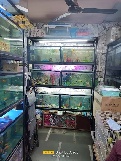 Vankhandi Fish Aquarium