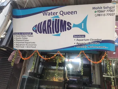 Water Queen Quariums