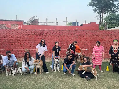 Woofs-N-Wags Dog Park And Boarding, Sainik Farms, Delhi