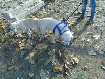 Dog Breeding Center.6