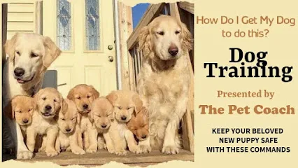 The Pet Coach (Training, Boarding & Selling)