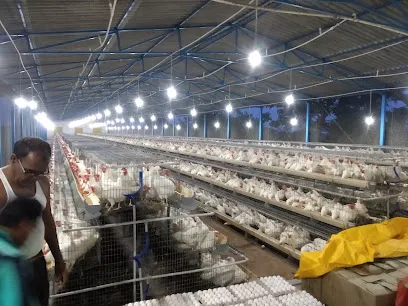 A1 Poultry Farm