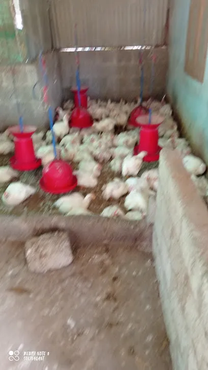 Kerala Farm Chicken