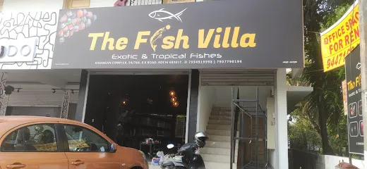 The Fish Villa