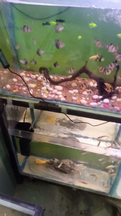 Sk Fish Aquarium