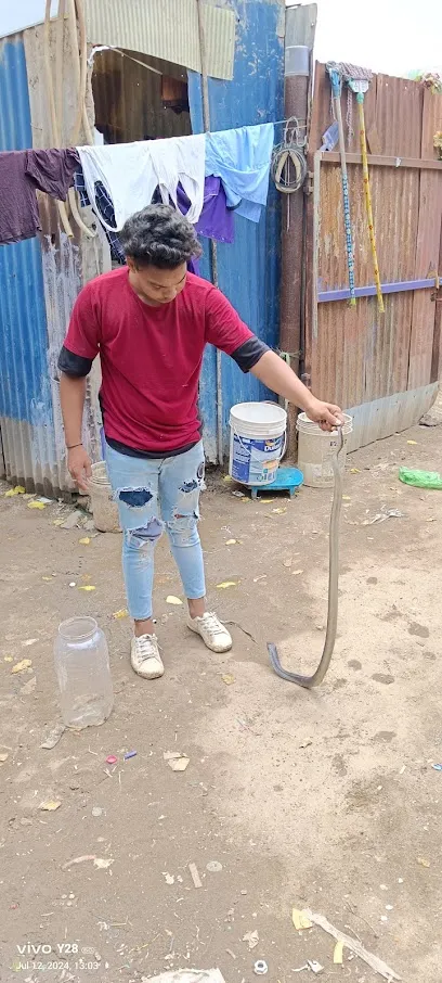 Snake Rescue Gandhinagar