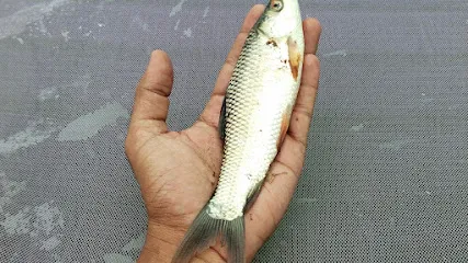 Bharat Biofloc Fish Hatchery