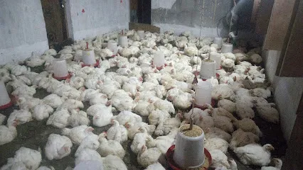 Negi Poultry Farm